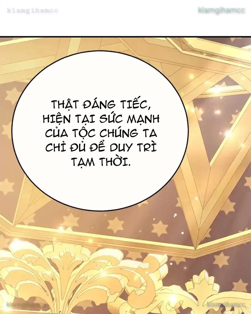 Tôi May Mắn Triệu Hồi Được Tinh Linh Hộ Vệ Hạng 10 Chapter 41 - 117