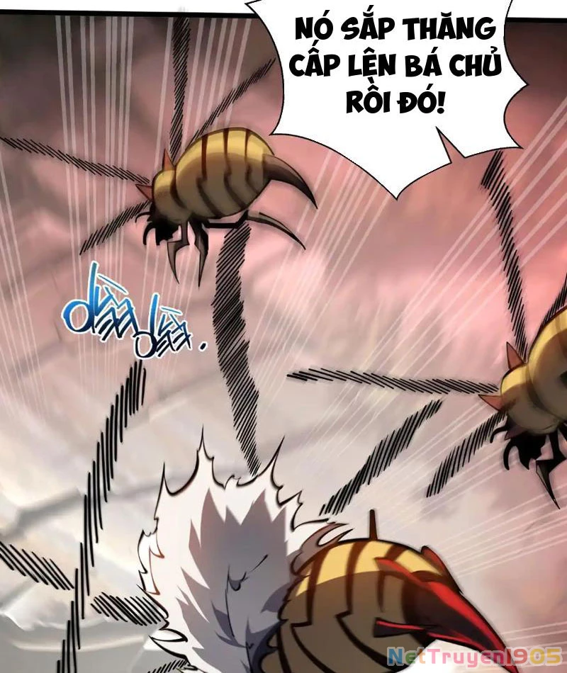 Tai Ách Giáng Lâm: Ta Tiến Hóa Thành Tinh Hồng Chi Vương Chapter 13 - 12