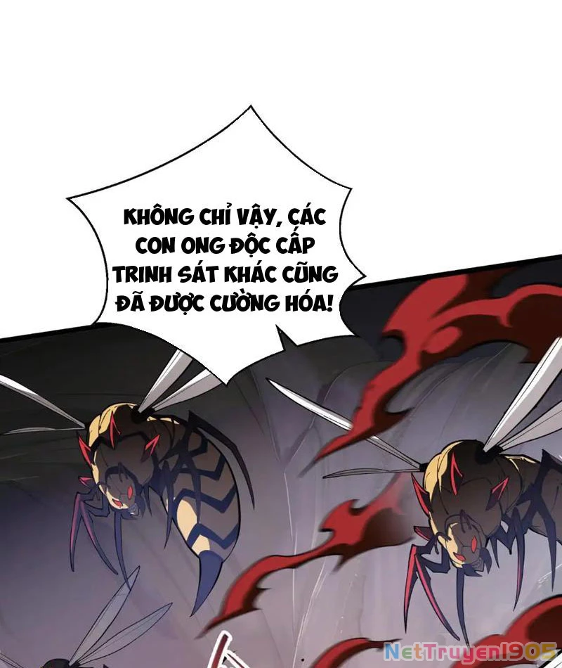 Tai Ách Giáng Lâm: Ta Tiến Hóa Thành Tinh Hồng Chi Vương Chapter 13 - 72