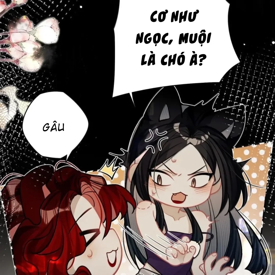 Quấn Quýt Chapter 33 - 57