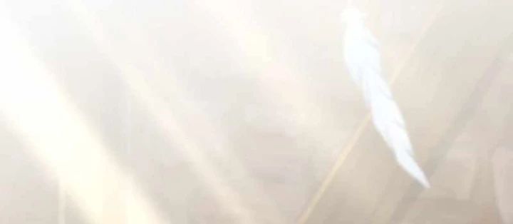 Thôn Phệ Giả Thức Tỉnh Chapter 28 - 152