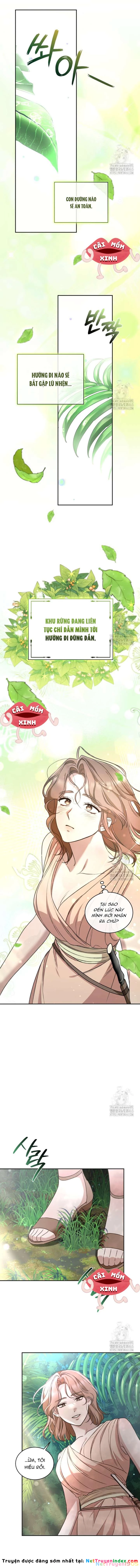 Khu Rừng Hoang Dã Chapter 47 - 2