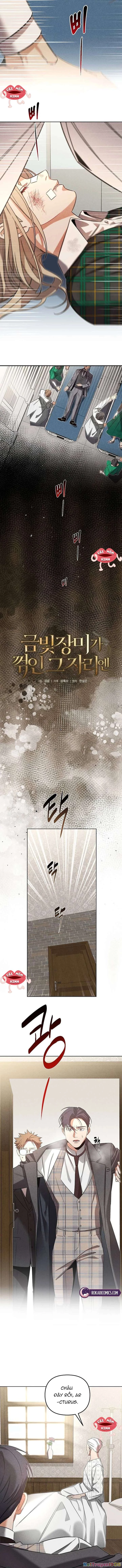 Nơi Đóa Hồng Vàng Úa Tàn Chapter  10 - 3