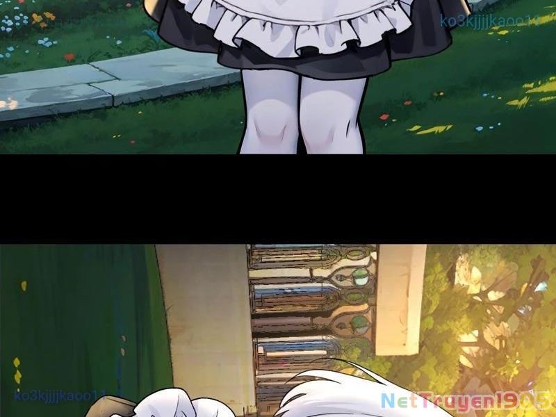 Sau Khi Đầu Thai, Ta Được Kẻ Thù Khắc Thành Vô Địch Chapter 24 - 49