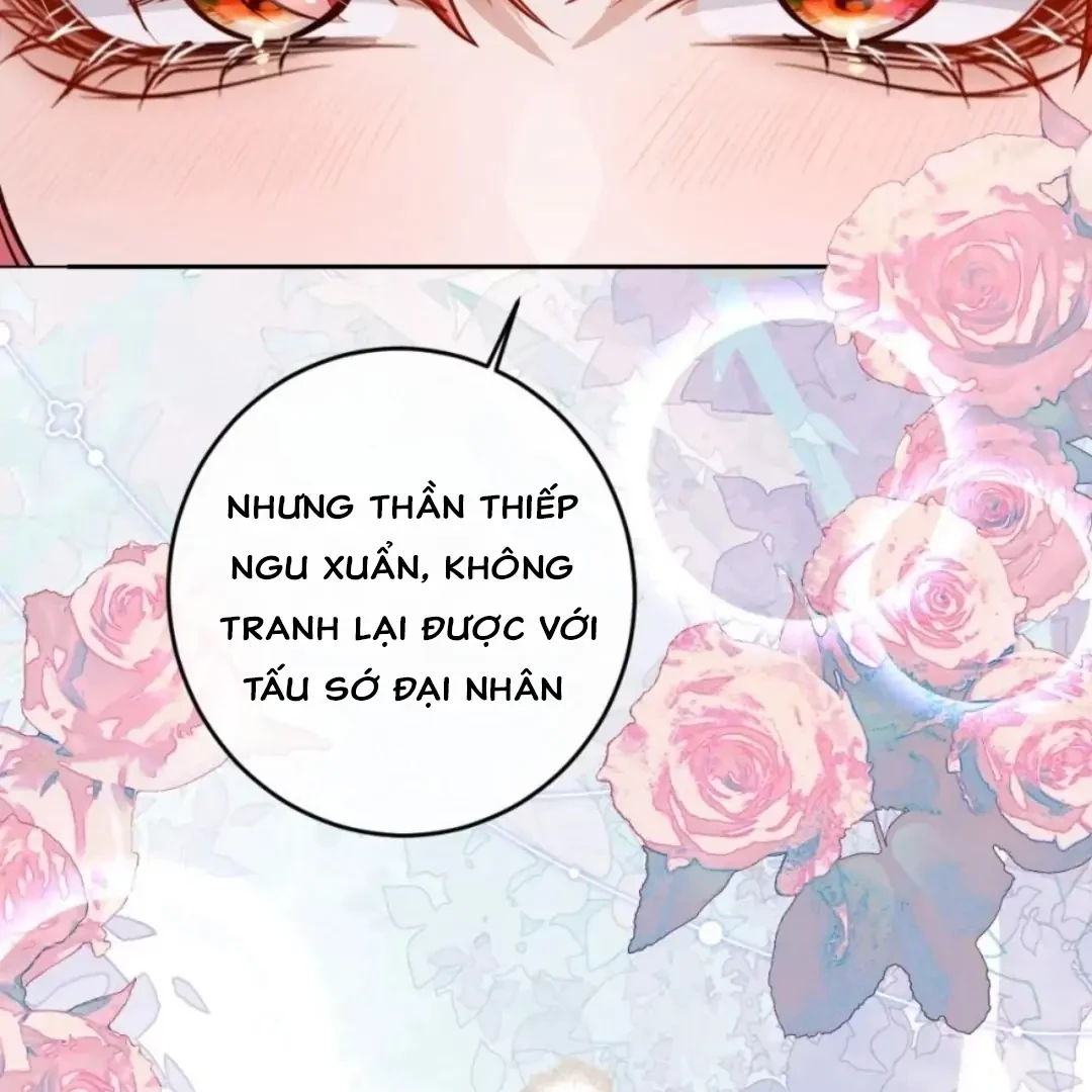 Nuông Chiều Mỹ Nhân Cuồng Nhiệt Chapter 81.5 - 66