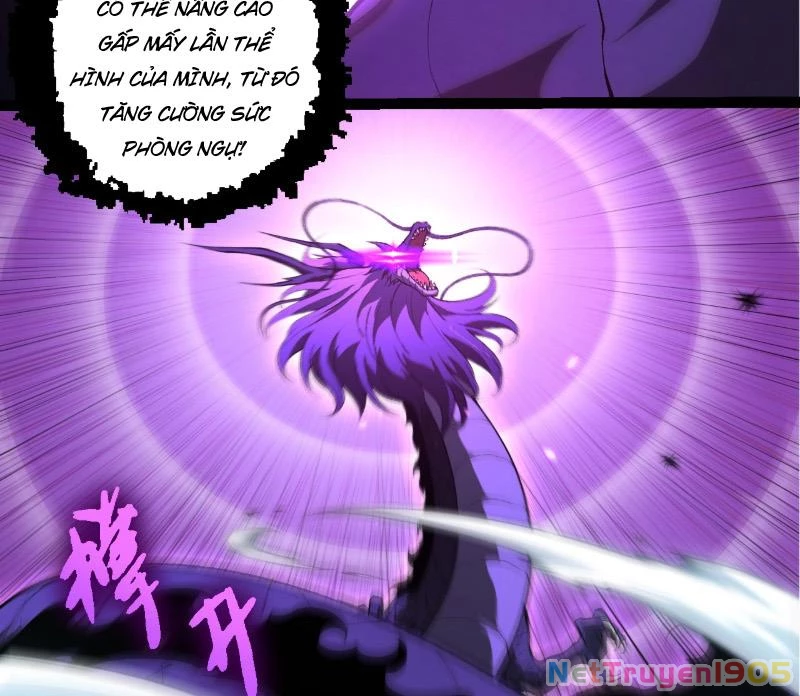 Chuyển Sinh Thành Liễu Đột Biến Chapter 433 - 8