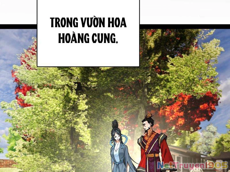 Chàng Rể Mạnh Nhất Lịch Sử Chapter 335 - 41