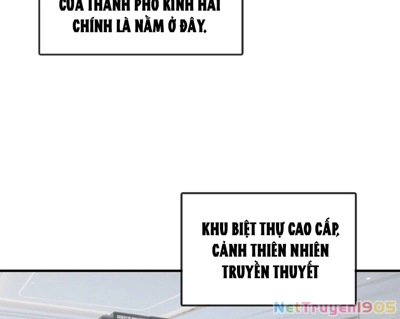 Hệ Thống Hoàn Tiền: Vô Hạn Tự Do Tài Chính Chapter  3 - 15