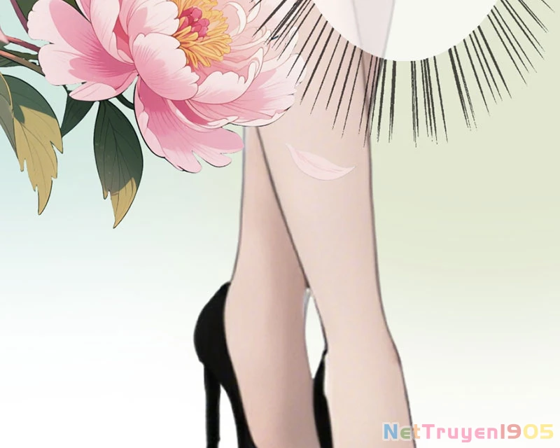 Hệ Thống Hoàn Tiền: Vô Hạn Tự Do Tài Chính Chapter  4 - 43