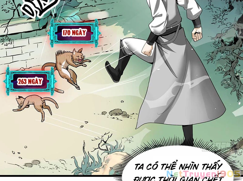 Tuyệt Đối Đừng Gây Sự Với Đại Sư Huynh Chapter 1 - 23