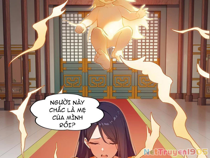 Nghịch Tập Từ Trong Bụng Mẹ: Vừa Sinh Ra Đã Là Vô Địch Chapter 1 - 16