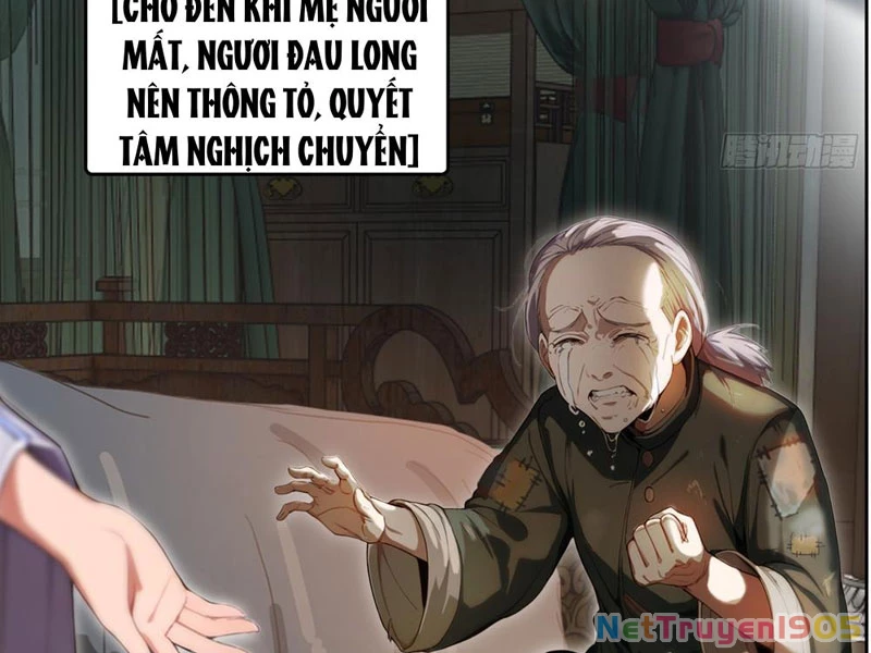 Nghịch Tập Từ Trong Bụng Mẹ: Vừa Sinh Ra Đã Là Vô Địch Chapter 2 - 13