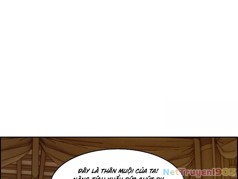 Nghịch Tập Từ Trong Bụng Mẹ: Vừa Sinh Ra Đã Là Vô Địch Chapter 3 - 19