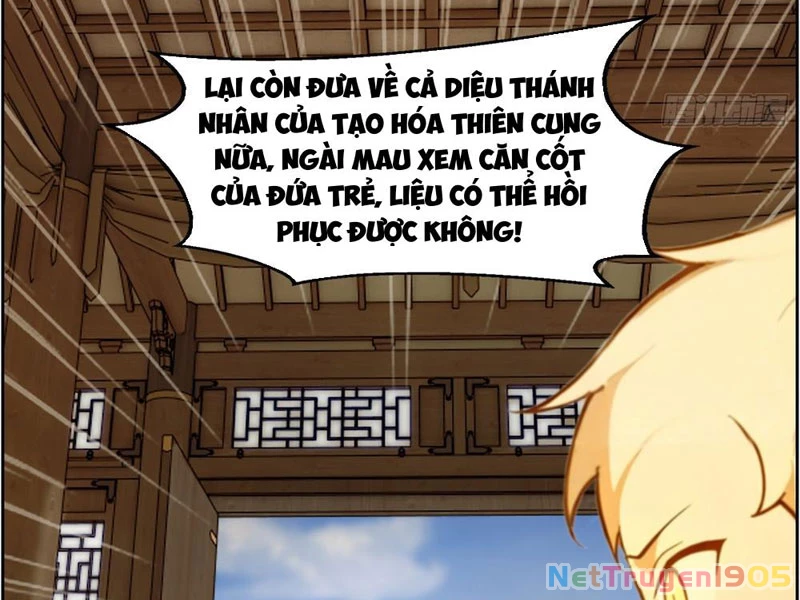 Nghịch Tập Từ Trong Bụng Mẹ: Vừa Sinh Ra Đã Là Vô Địch Chapter 3 - 29