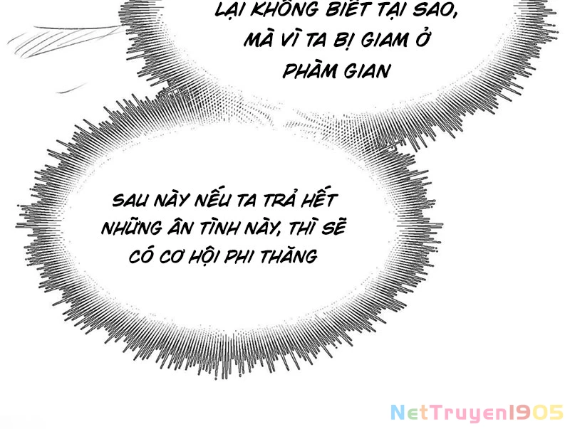 Đỉnh Cấp Khí Vận, Lặng Lẽ Tu Luyện Ngàn Năm Chapter 234 - 143