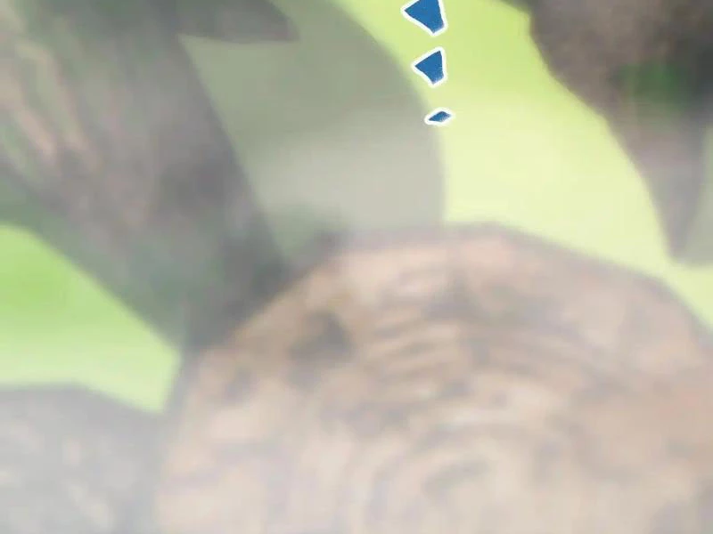 Mạt Thế Trùng Sinh: Ta Dựa Vào Mở Rương Vấn Dỉnh Đỉnh Phong Chapter 68 - 44