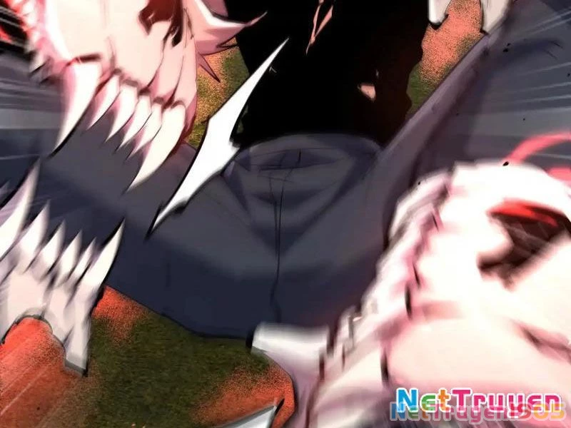 Mạt Thế Cẩu Sinh: Gián Giúp Ta Chồng Buff Chapter 74 - 11