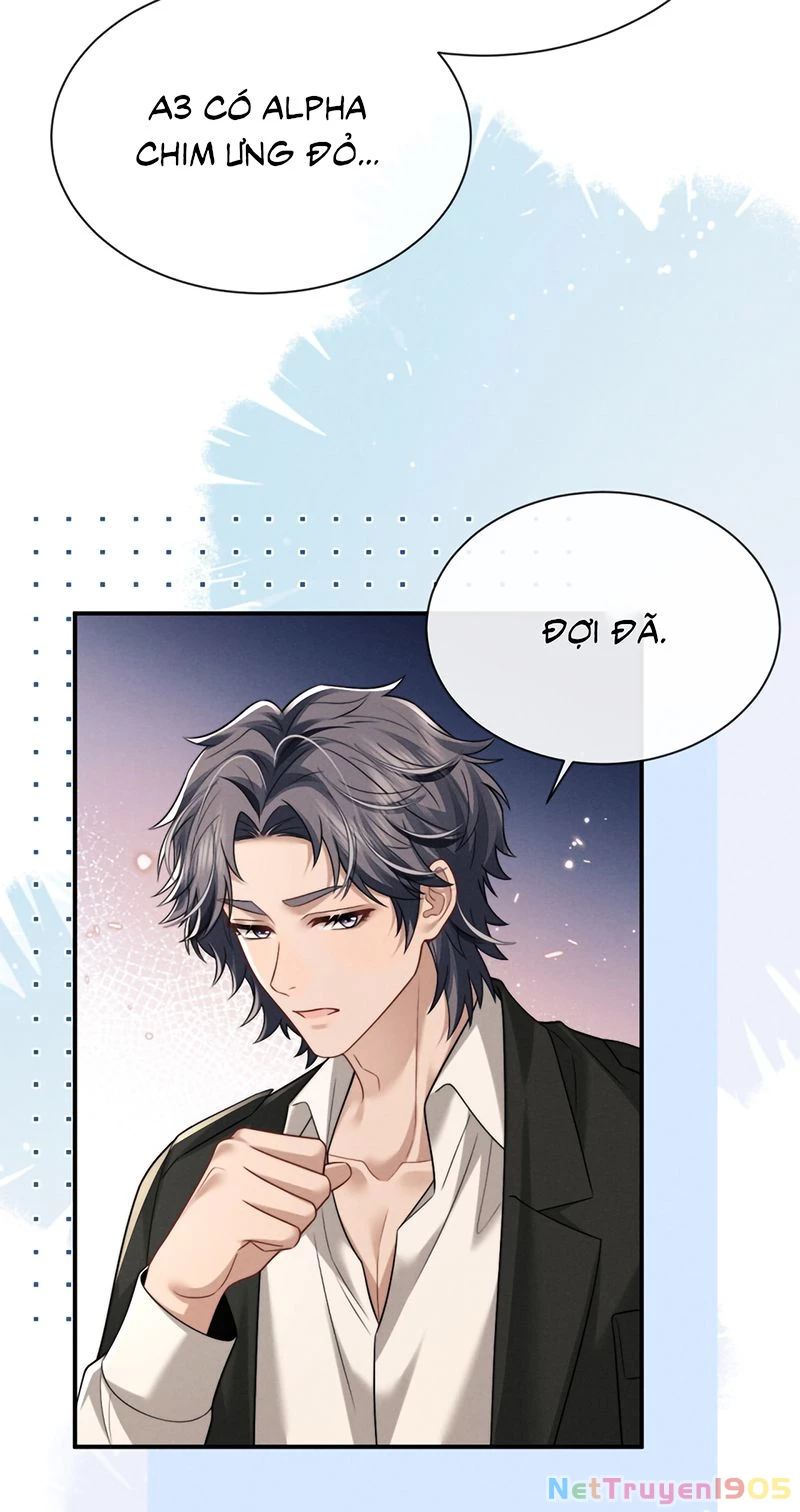 Chấp Sự Thỏ Cụp Tai Chapter 179 - 21