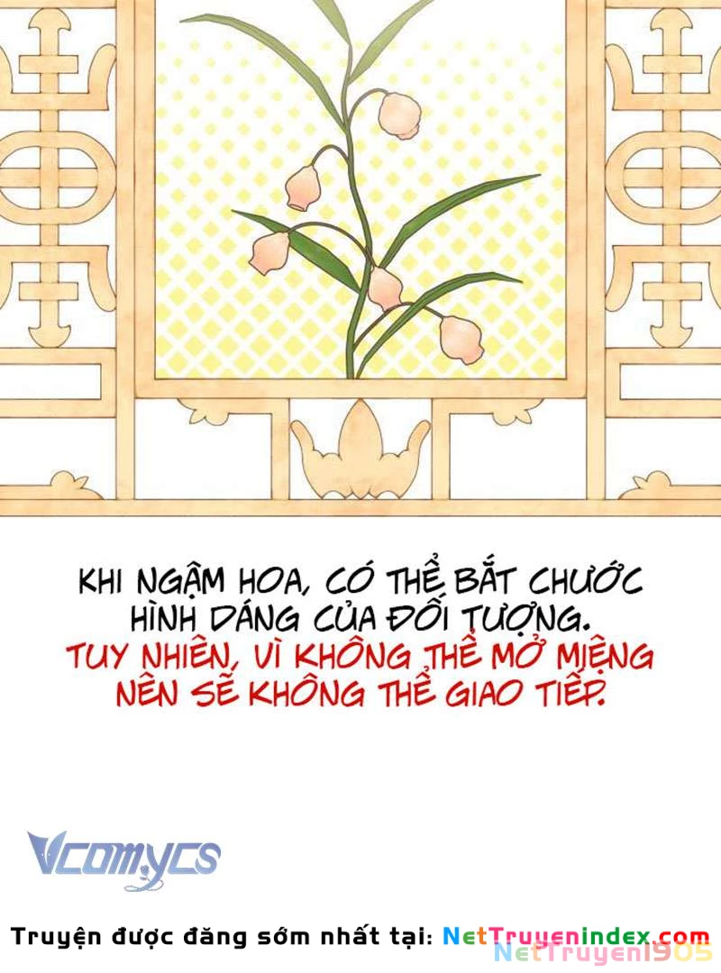 Chuyện Tình Tuyết Phương Bắc Chapter 50 - 89