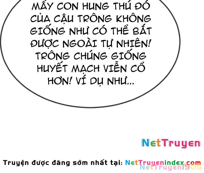 Thái Cổ Thập Hung: Người khác ngự thú ta ngự thú nương Chapter 64 - 31