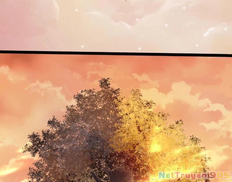 Chuyển Sinh Thành Liễu Đột Biến Chapter 434 - 42