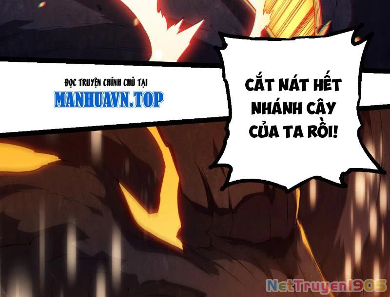 Chuyển Sinh Thành Liễu Đột Biến Chapter 434 - 94