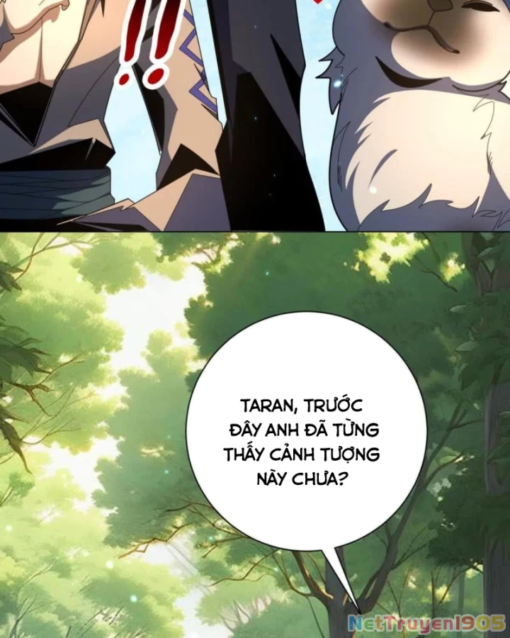 Ta Thành Vương Giả Từ Khắc Kim Chapter 49 - 52