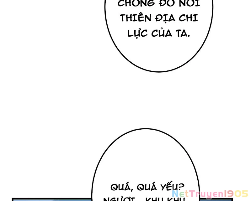 Chưởng Môn Khiêm Tốn Chút Chapter 561 - 76