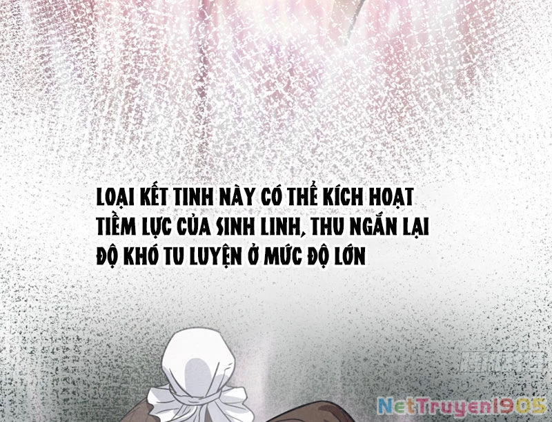 Tuyệt Đối Đừng Gây Sự Với Đại Sư Huynh Chapter 2 - 26