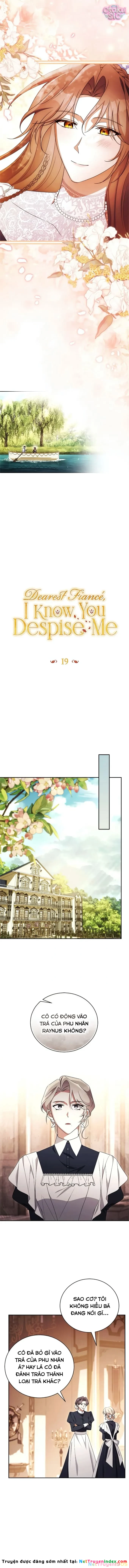 Hôn Phu À, Ta Biết Chàng Ghét Ta Chapter 19 - 6