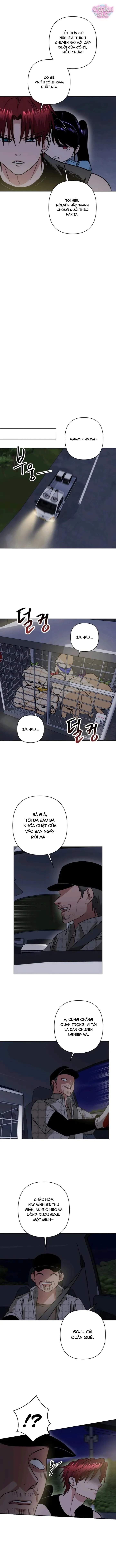 Tên Du Côn Và Tiểu Thư Giang Hồ Chapter  8 - 4