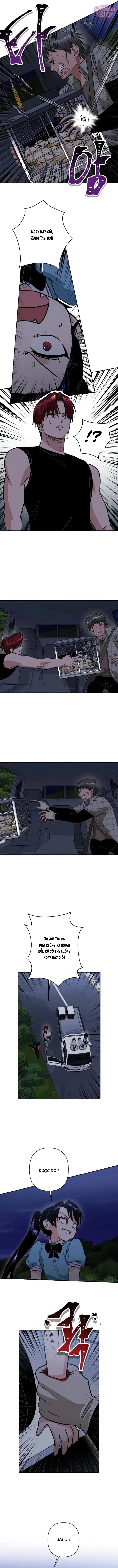 Tên Du Côn Và Tiểu Thư Giang Hồ Chapter  8 - 7