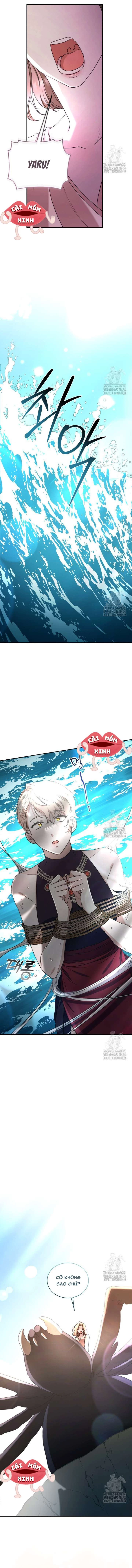 Khu Rừng Hoang Dã Chapter 48 - 15