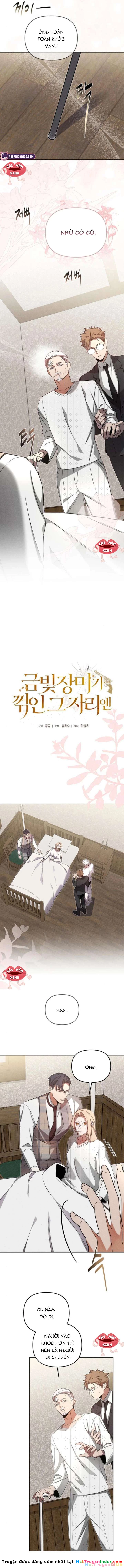 Nơi Đóa Hồng Vàng Úa Tàn Chapter  11 - 3