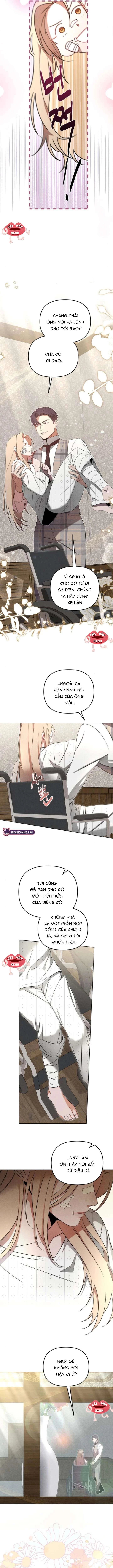 Nơi Đóa Hồng Vàng Úa Tàn Chapter  11 - 11