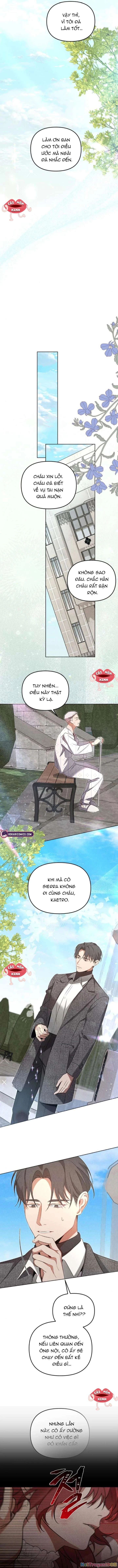 Nơi Đóa Hồng Vàng Úa Tàn Chapter  11 - 13