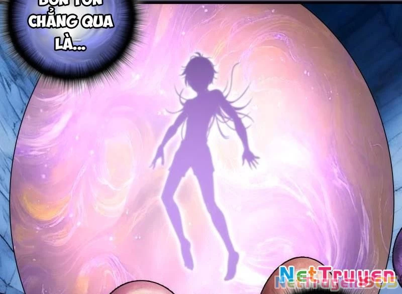 Cao Đẳng Linh Hồn Chapter 351 - 41