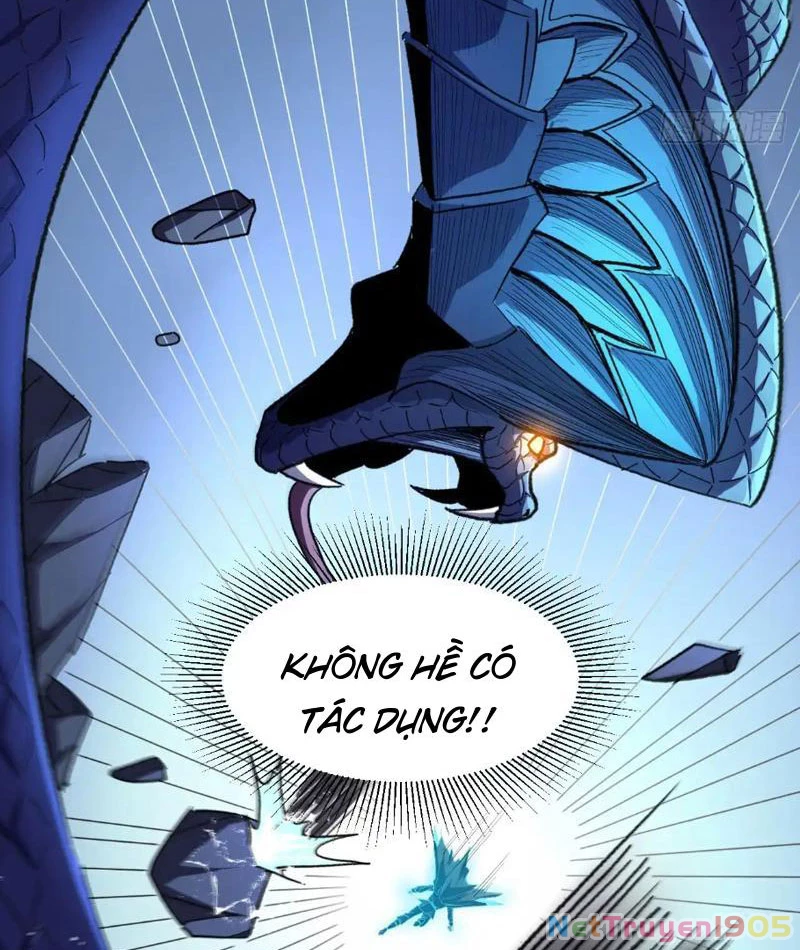 Dị Biến Giáng Lâm Nhân Gian: Triệu Hoán Chi Chủ! Chapter 49 - 14