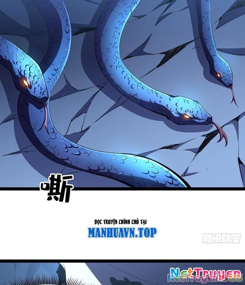 Dị Biến Giáng Lâm Nhân Gian: Triệu Hoán Chi Chủ! Chapter 50 - 11