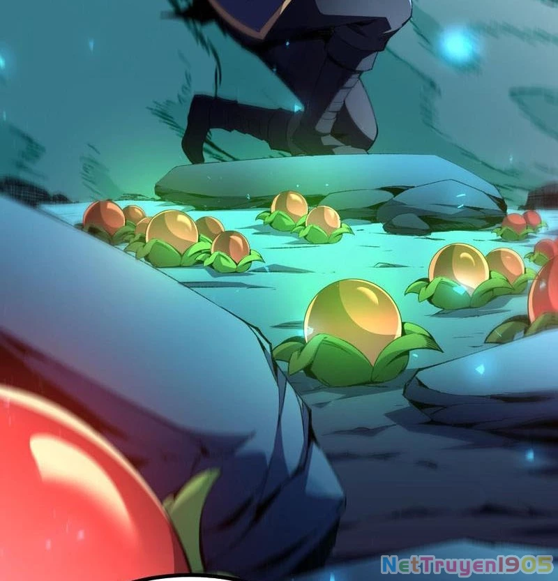 Dị Biến Giáng Lâm Nhân Gian: Triệu Hoán Chi Chủ! Chapter 50 - 40