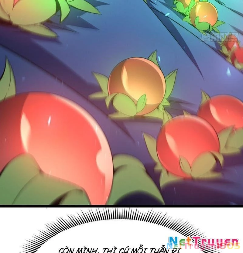 Dị Biến Giáng Lâm Nhân Gian: Triệu Hoán Chi Chủ! Chapter 50 - 46