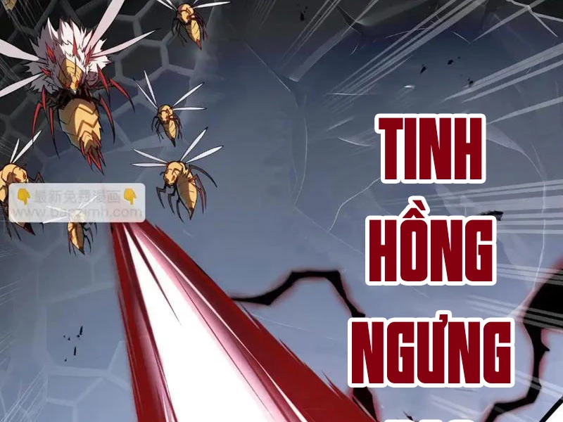 Tai Ách Giáng Lâm: Ta Tiến Hóa Thành Tinh Hồng Chi Vương Chapter 14 - 13