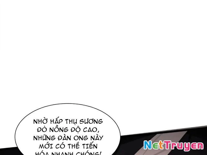 Tai Ách Giáng Lâm: Ta Tiến Hóa Thành Tinh Hồng Chi Vương Chapter 14 - 56