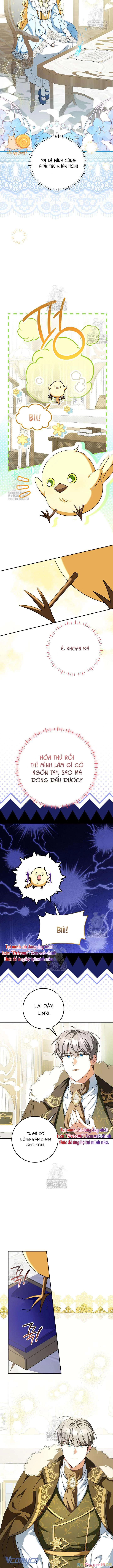 Nàng Chim Được Dinh Thự Sói Yêu Thương Chapter  56 - 2