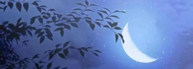 Hắc Kị Sĩ Thiên Tài Giới Hạn Thời Gian Chapter 117 - 128