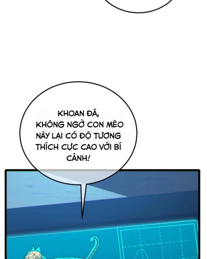 Vô Địch Bị Động Tạo Ra Tấn Sát Thương Chapter 116 - 78