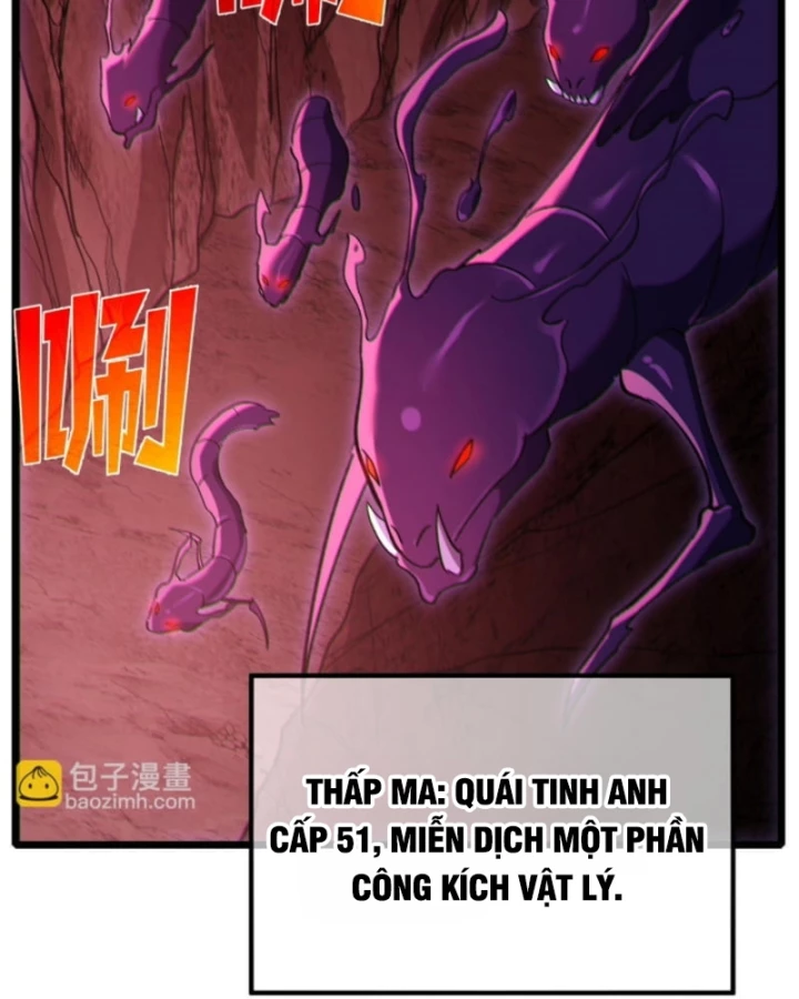 Vô Địch Bị Động Tạo Ra Tấn Sát Thương Chapter 116 - 83