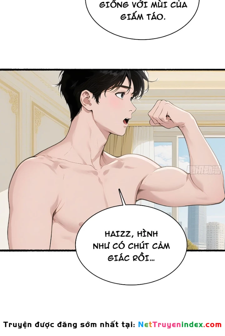 Hệ Thống Hoàn Tiền: Vô Hạn Tự Do Tài Chính Chapter 8 - 21