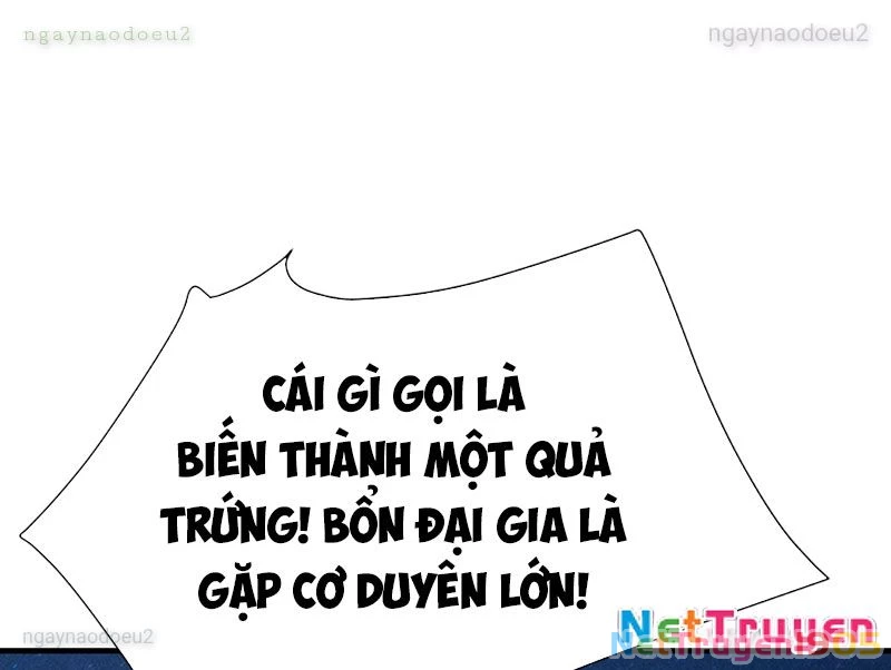 Sư Tôn: Nghịch Đồ Này Mới Không Phải Là Thánh Tử Chapter 150 - 51