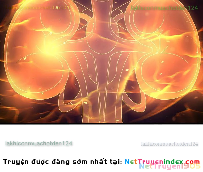 Trụ Vương Tái Sinh Không Muốn Làm Đại Phản Diện Chapter 156 - 89